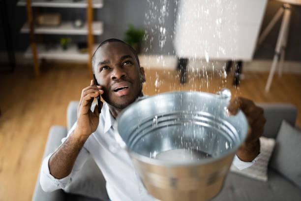 Reliable TN Water damage restoration Solutions