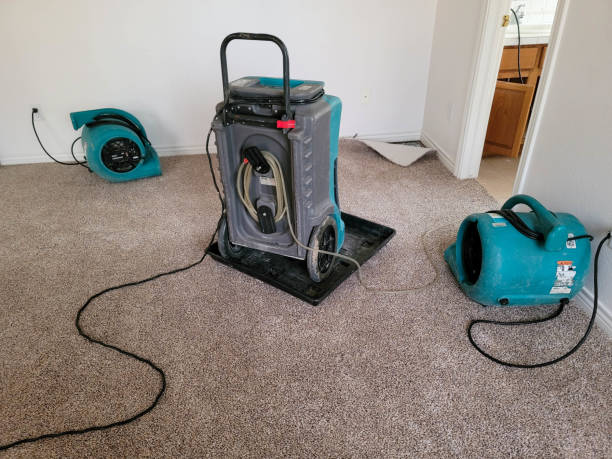  Dodson Branch, TN Water damage restoration Pros