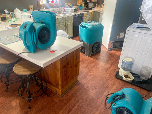 Best Ceiling water damage repair  in Dodson Branch, TN