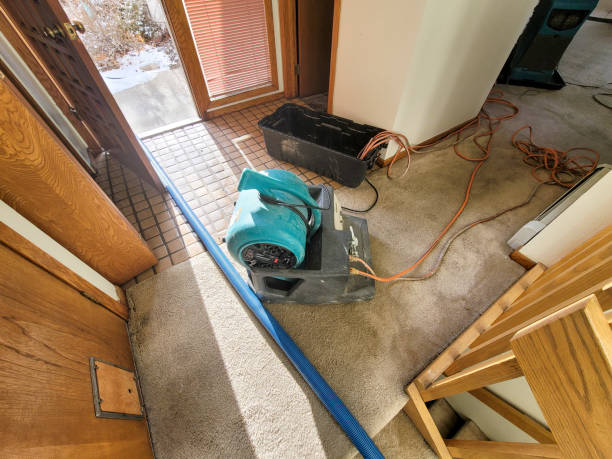 Best Emergency water damage restoration  in Dodson Branch, TN