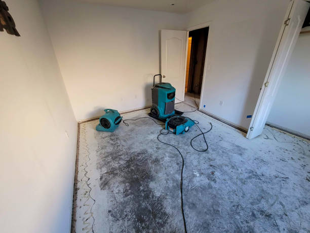 Best Sewage cleanup and water damage restoration  in Dodson Branch, TN