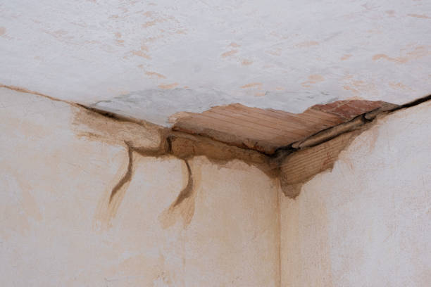Best 24-hour water damage restoration  in Dodson Branch, TN