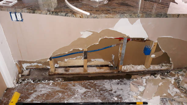 Best Mold removal after water damage  in Dodson Branch, TN