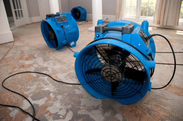 Best Fire Damage Restoration  in Dodson Branch, TN