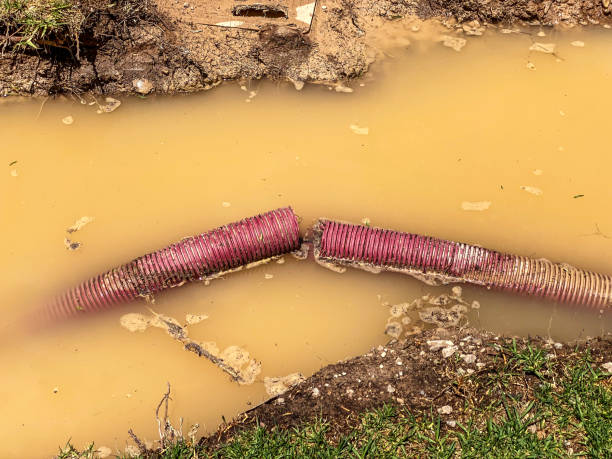 Best Water damage cleanup near me  in Dodson Branch, TN