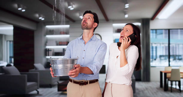 Best Commercial water damage restoration  in Dodson Branch, TN